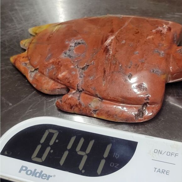 Caribbean Calcite Sea Turtle - Picture 5 of 5